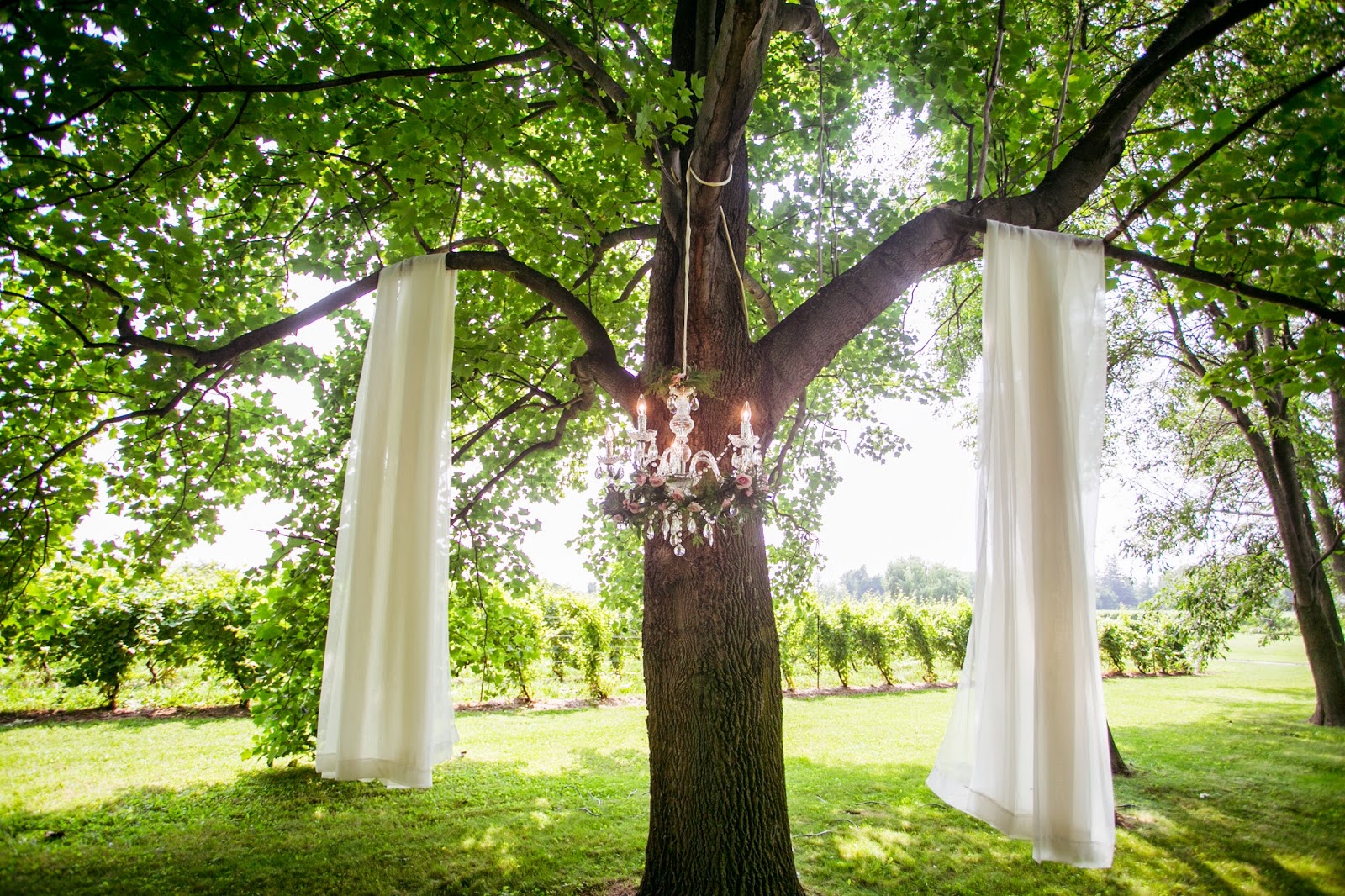 niagara wedding planner a divine affair winery kurtz orchard