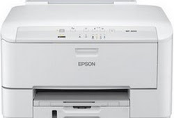 SCARICARE DRIVER EPSON XP 235