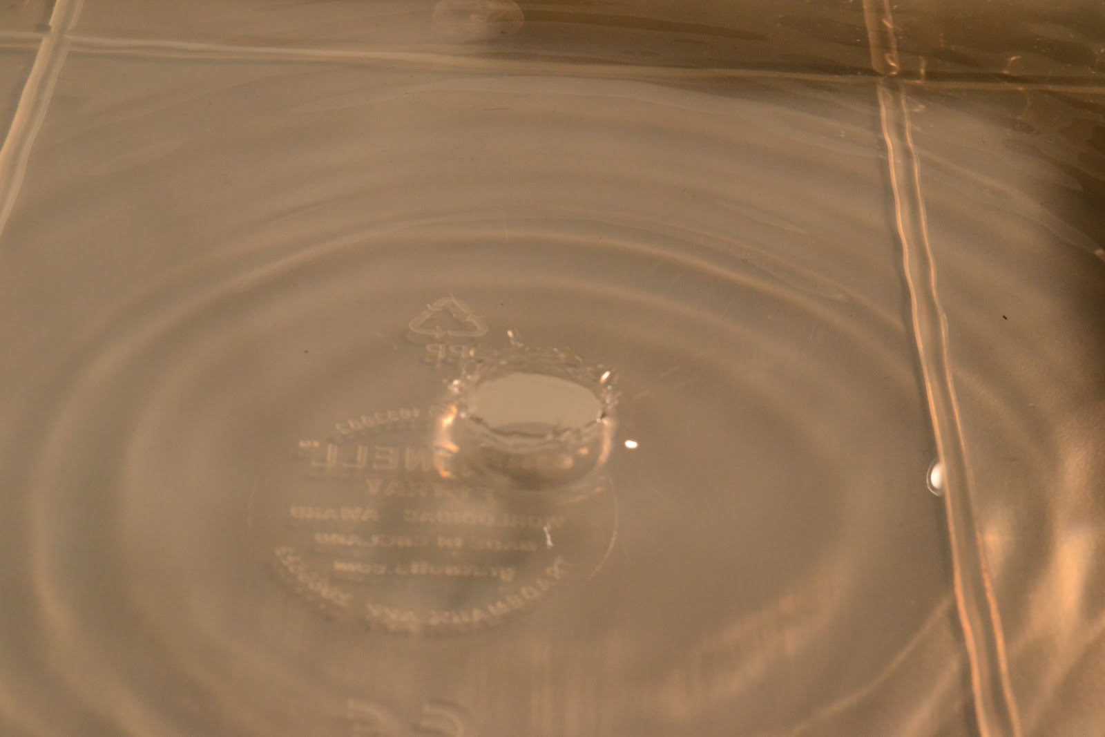 Media Projects: Fast shutter speed photographs