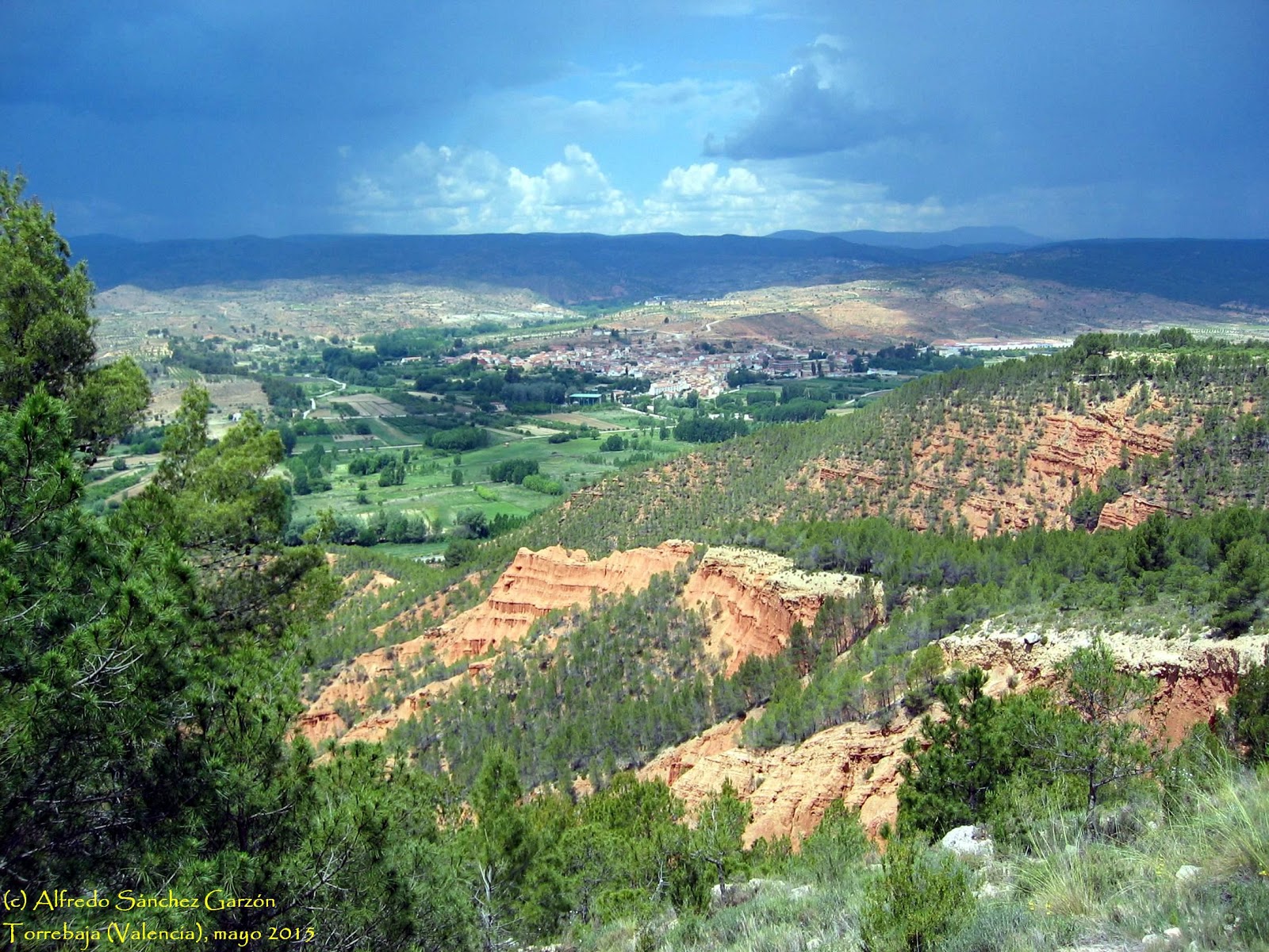 DESDE EL RINCÓN DE ADEMUZ ACTA DE RECONOCIMIENTO DE LOS LÍMITES DEL MONTE "DEHESA DE LOS