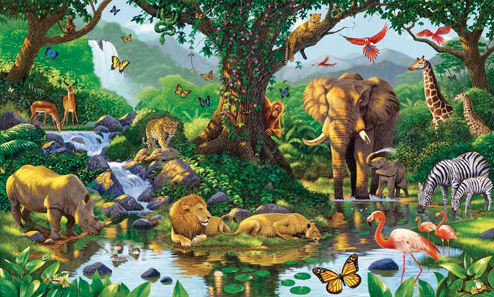 Natures Harmony Wall Mural Nice Pictures Natures Harmony Wall Mural Nice Pictures