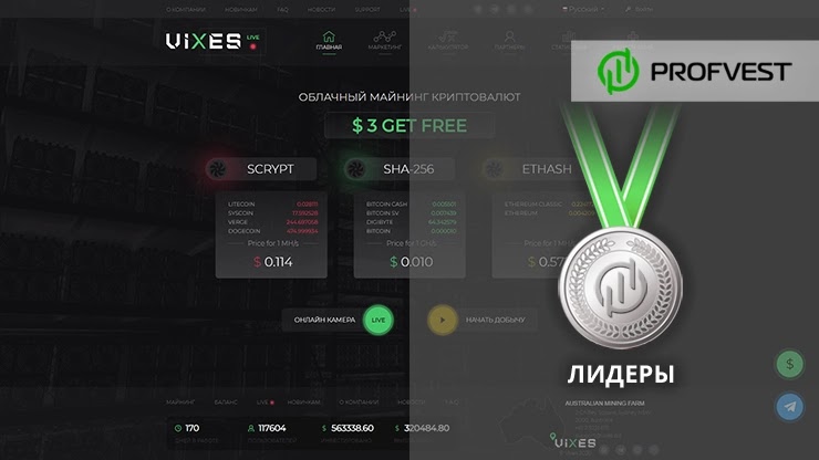 Повышение в лидеры проекта Vixes Повышение в лидеры Vixes