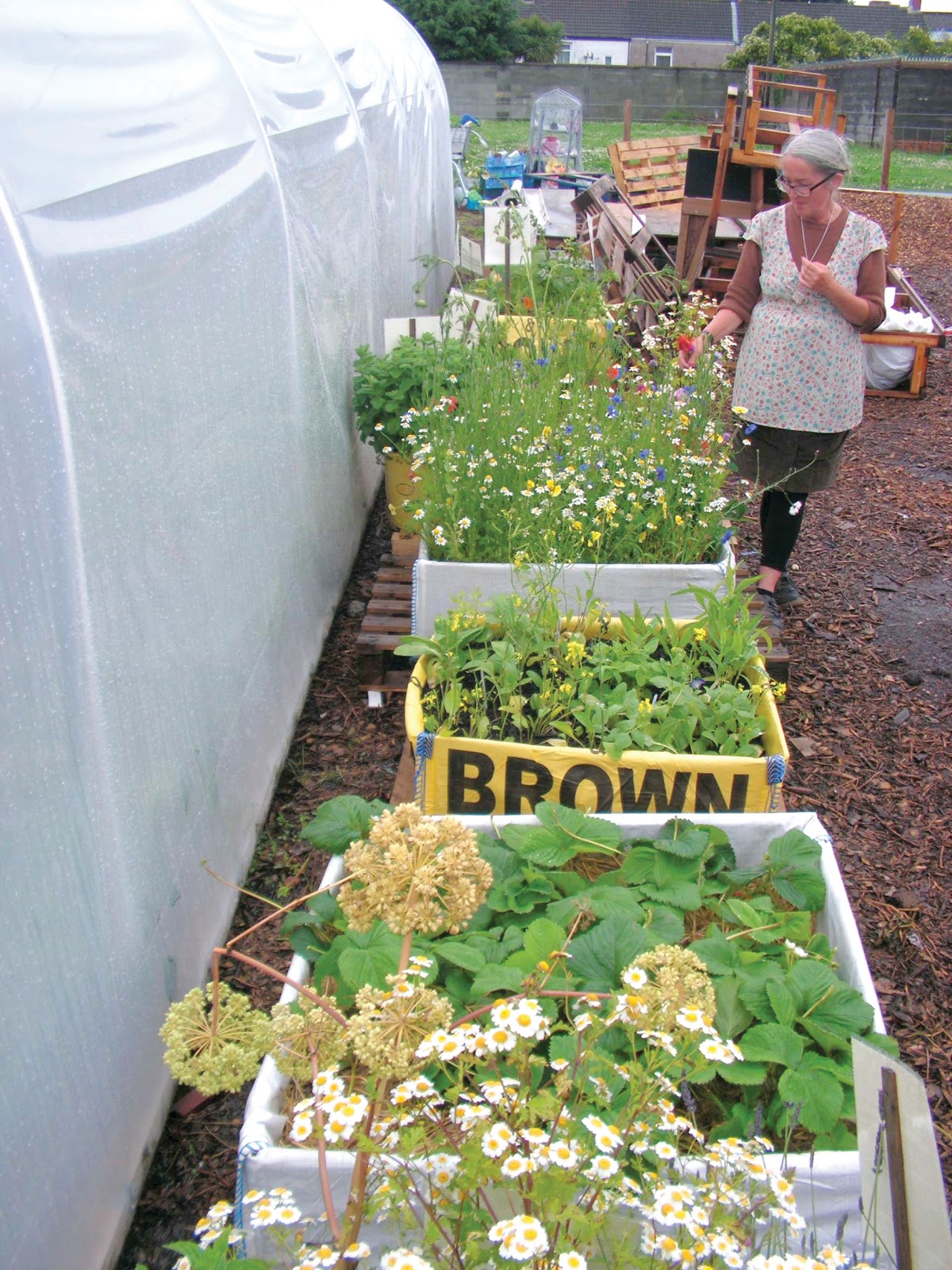 Coastal Housing Group Swansea: Grow your own... At Vetch Veg