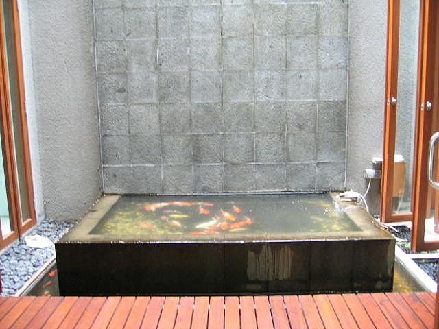 Kolam ikan minimalis 2013