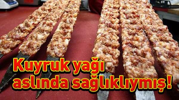 Akademik Fizik: Kuyruk yağı "sağlıklı yağlar" listesinde girdi