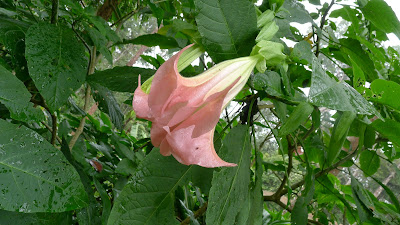 P1040582 Travel Around The World: Berjaya Hills