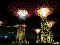 BOSQUE ARTIFICIAL. SINGAPUR