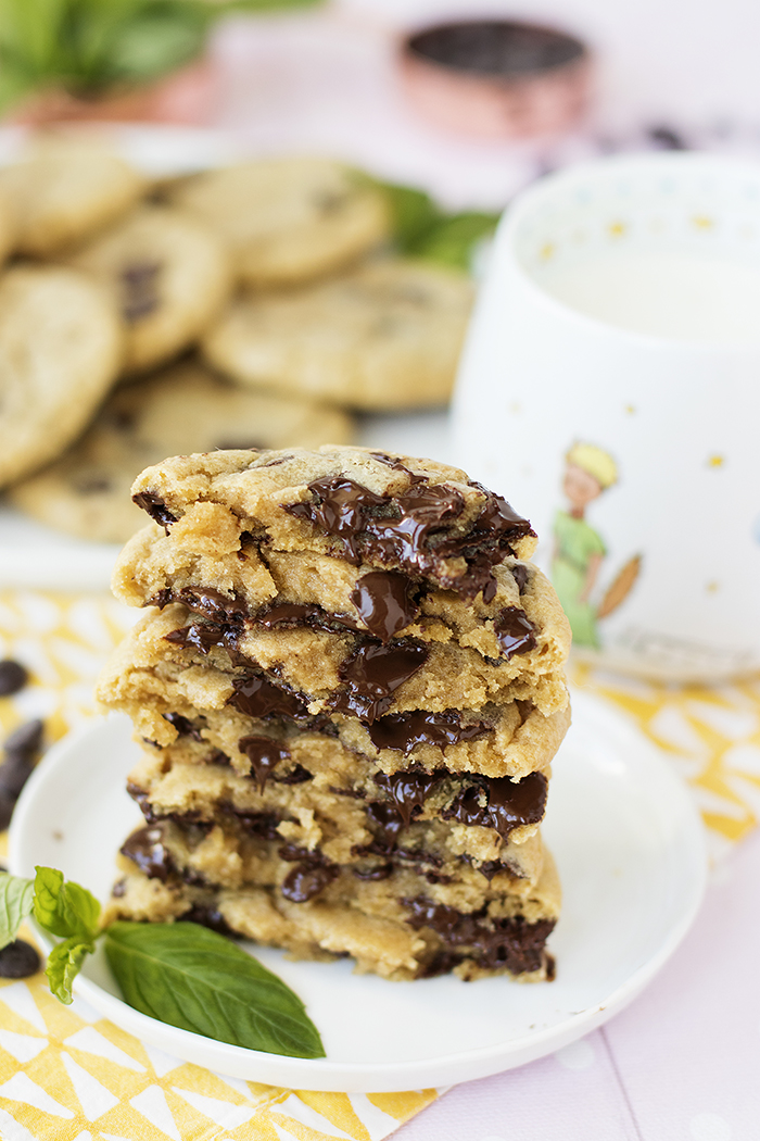 NANELİ ÇİKOLATA PARÇACIKLI KURABİYE Damy�s Kitchen