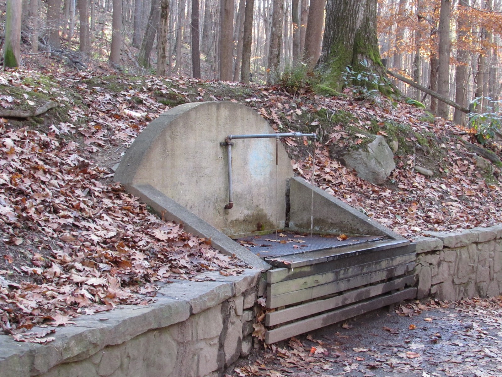 Beam Rocks Overlook Hike And Linn Run State Park Laughlintown Pa