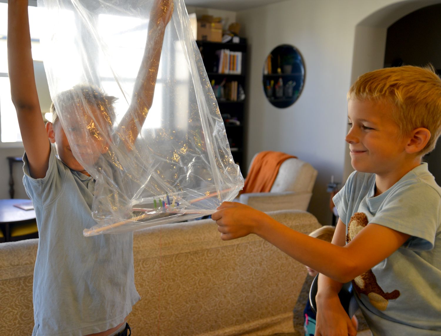 A school of fish Plastic Bag Hot Air Balloon