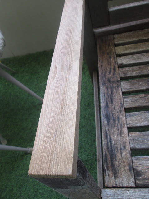 IMG 0005 - גינה בבית