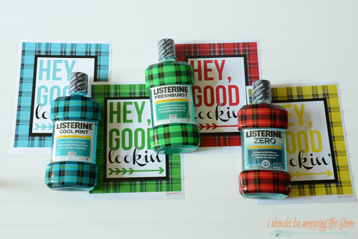 Free Plaid Bathroom Printables available in four patterns/colors. | Instant downloads.