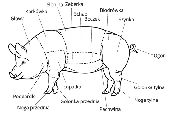 bitewniakowe pogranicza: Bitewniaki jako całość dzielą się na trzy