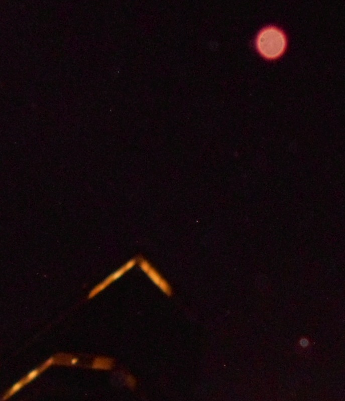 Orb Pro Orange Orb With Strange Details