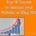 Top 10 Secrets to Increase your Website or Blog SEO