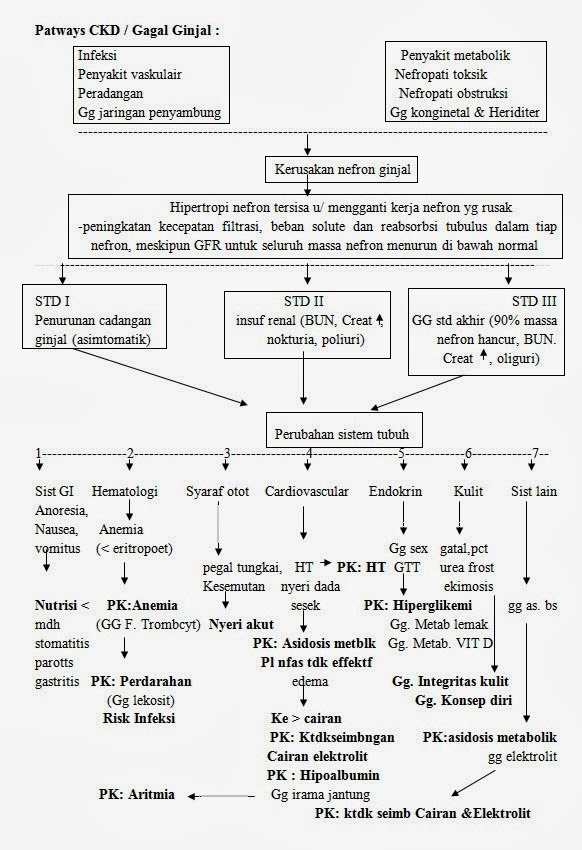anemia akibat perdarahan pdf anemia akibat perdarahan pdf