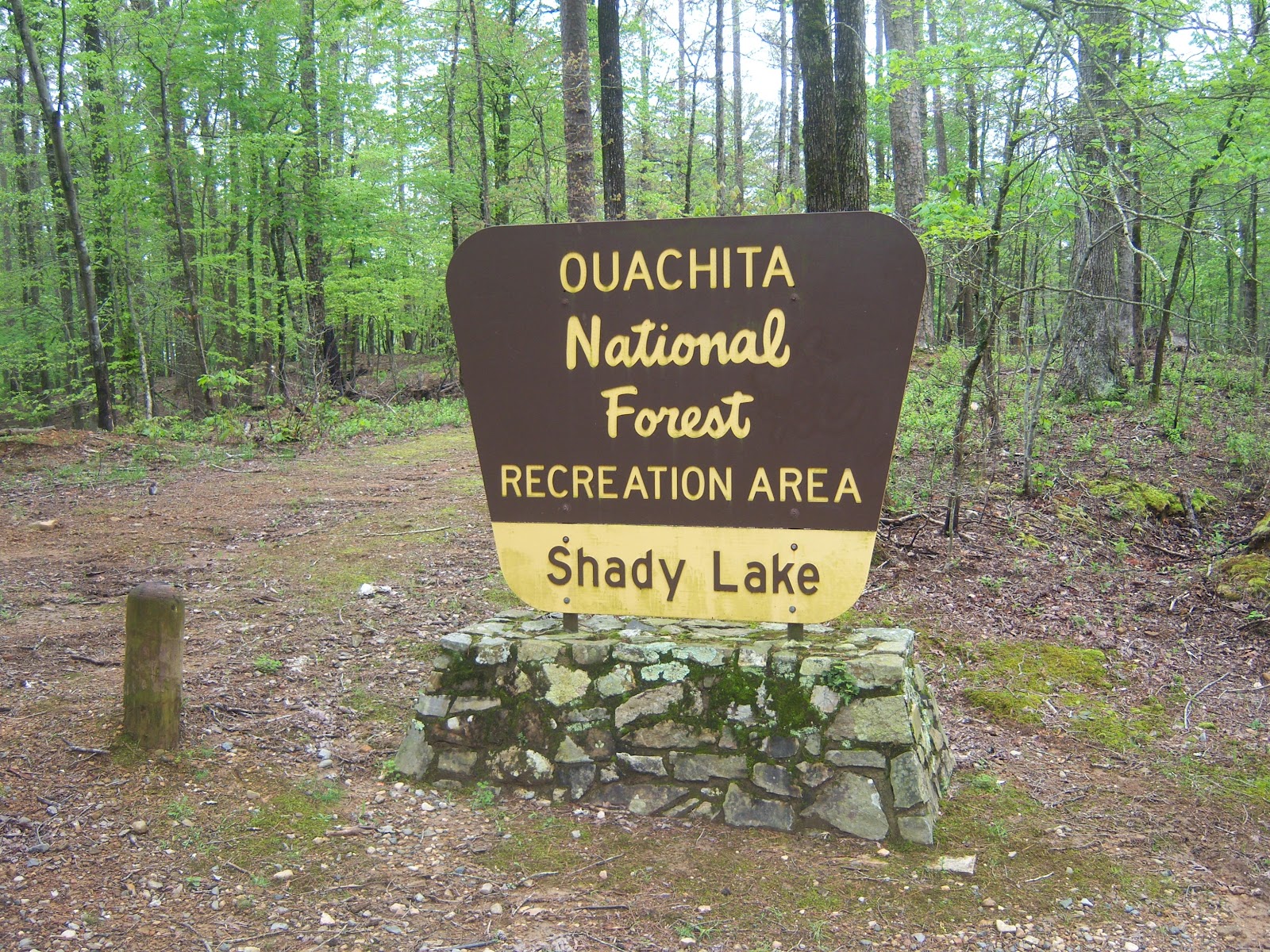 Chicagoland Greenery Shady Lake in Ouachita National Forest, Arkansas