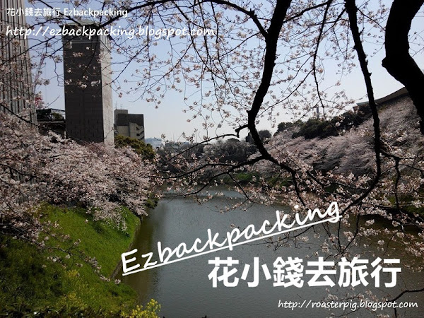 2016年日本櫻花最前線 稚內櫻花滿開了~