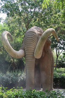 Cuitadella Park Mammoth