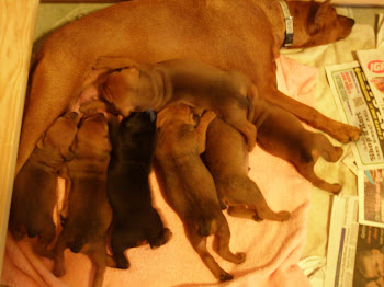 Nursery photo