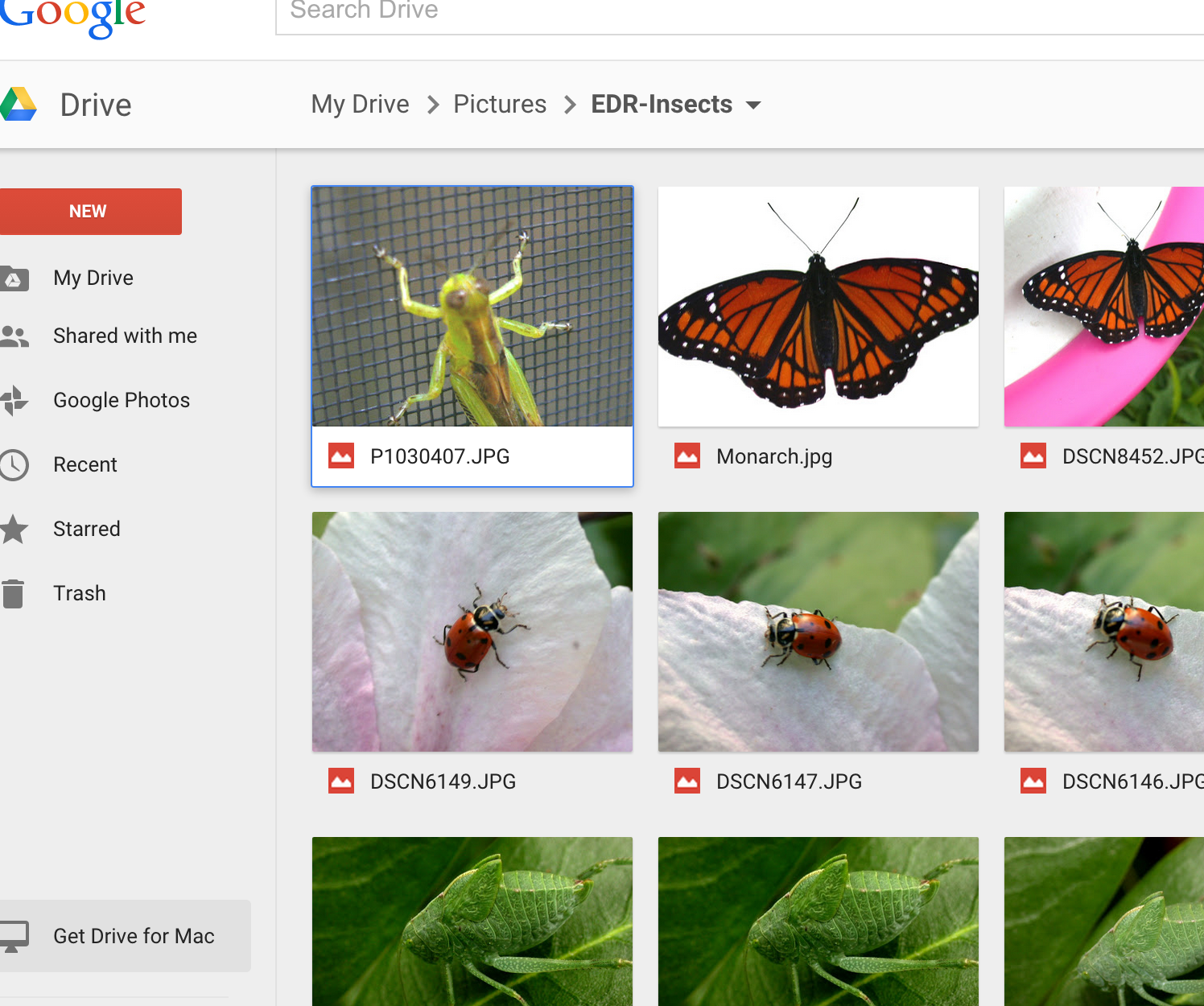 Maker Club 3D Printing with a Chromebook (or just a browser)