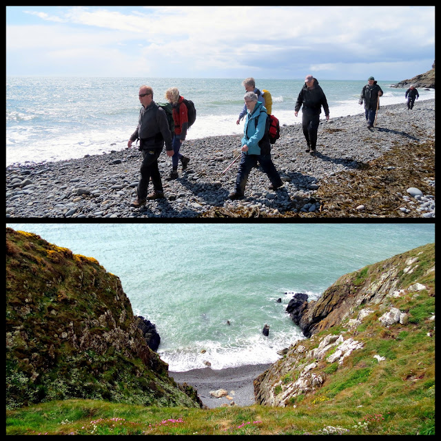 The Glebe Blog Three Walks Newton Stewart Walking Festival 2013