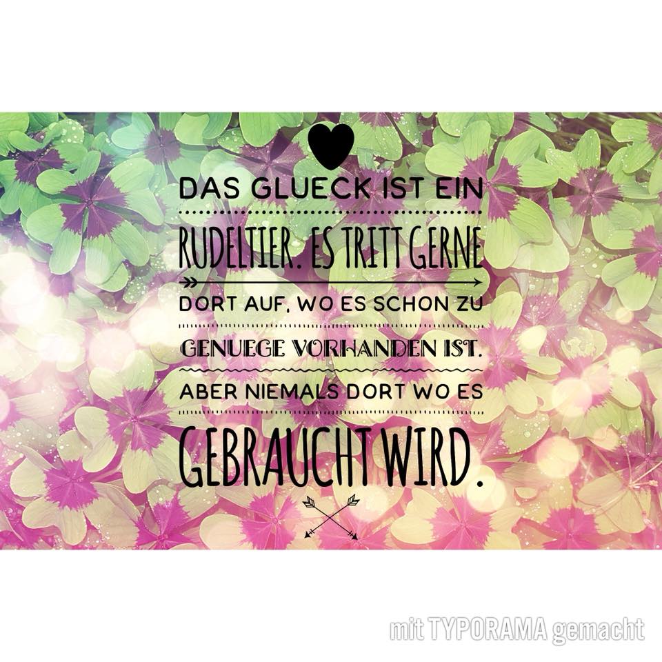 Sarahs Bucherwunderland 2017