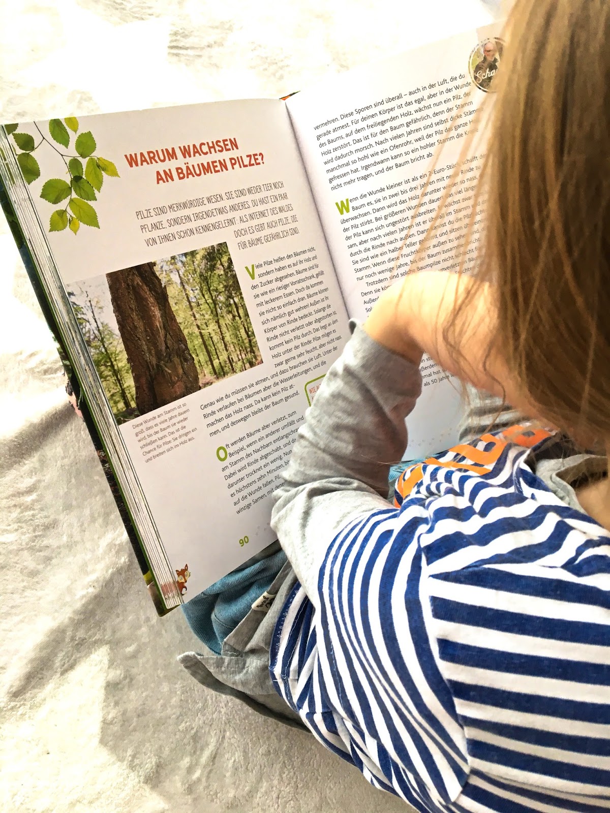 Wetterzentrale Forum Aktuelle Beobachtungen Warnlage Nowcast