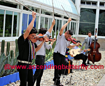 Musical Artists in Residence, the Villabos Brothers perform in front of a living fence of cactuses at the Media Preview Day for Frida Kahlo: Art, Garden, Life