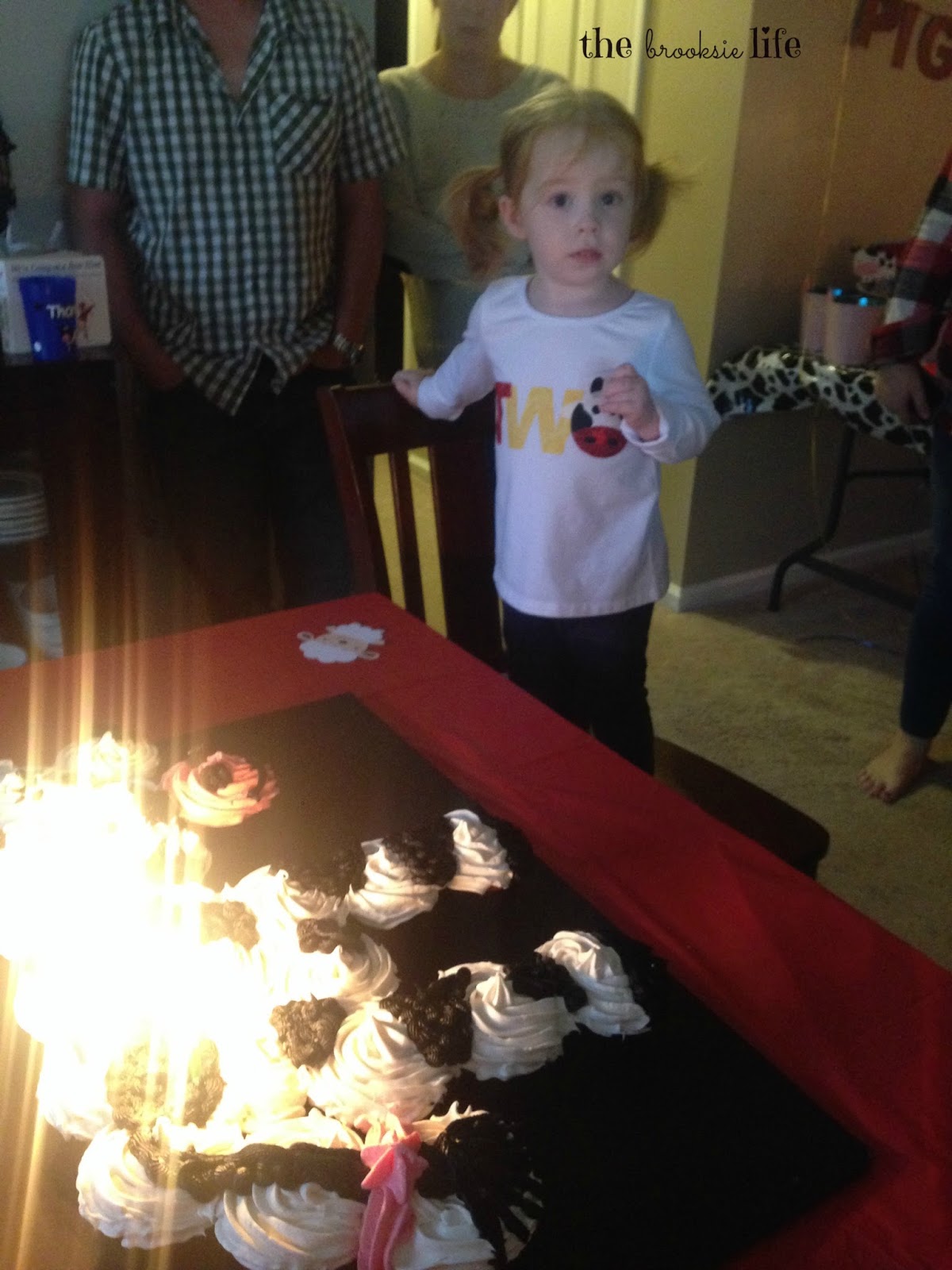 The Brooksie Life: Kinley&rsquo;s 2nd Birthday