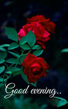 good night cute images