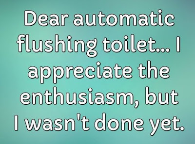 automatic-flushing-toilet.jpg