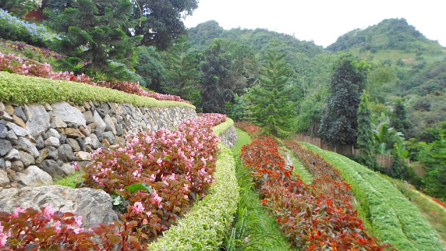 Terrazas de Flores Cebu Botanical Garden