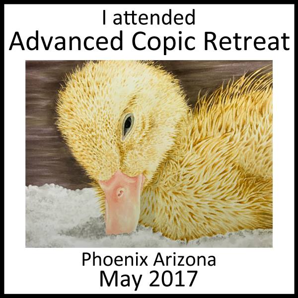 Advanced Copic Retreat