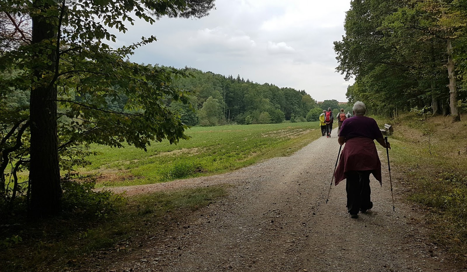 Wandern durch Franken: Fotos - Wanderung - Neuhaus/Adelsdorf ...