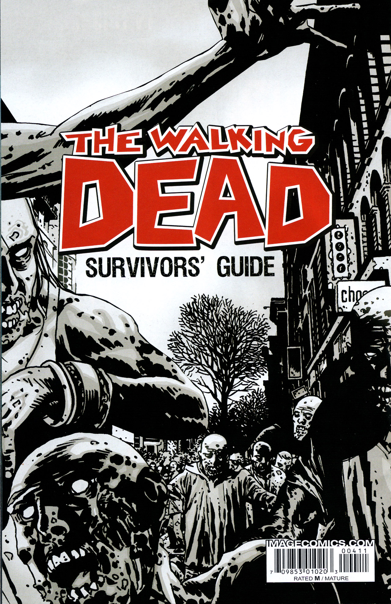 Read online The Walking Dead Survivors' Guide comic -  Issue #4 - 27