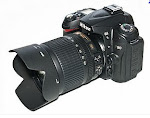 Nikon D 90X Zoom: AF-S 18-105mm f3.5-5.6 G ED VR DX