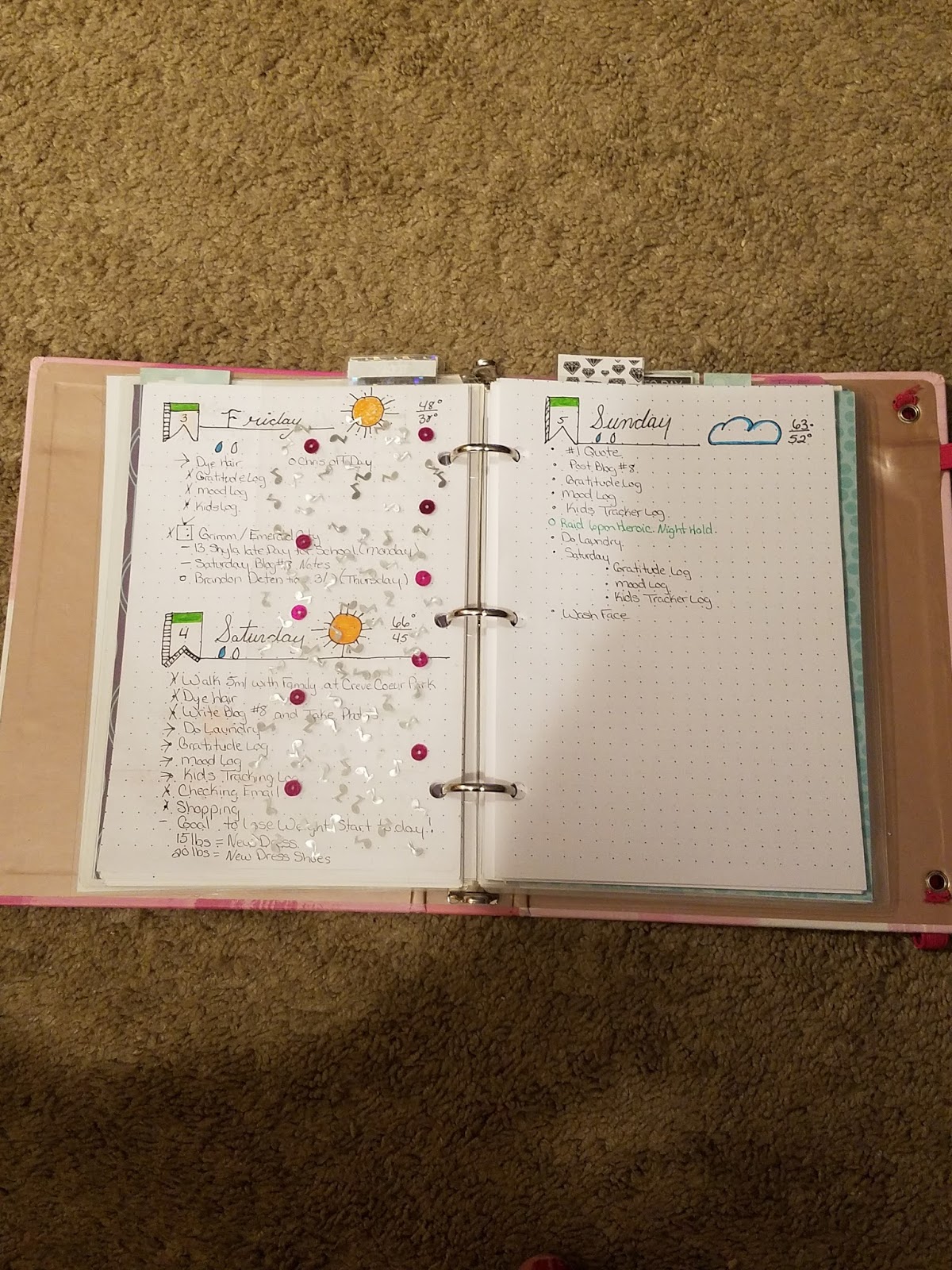 plannerybutterfly how i bullet journal in a binder weigh bill number