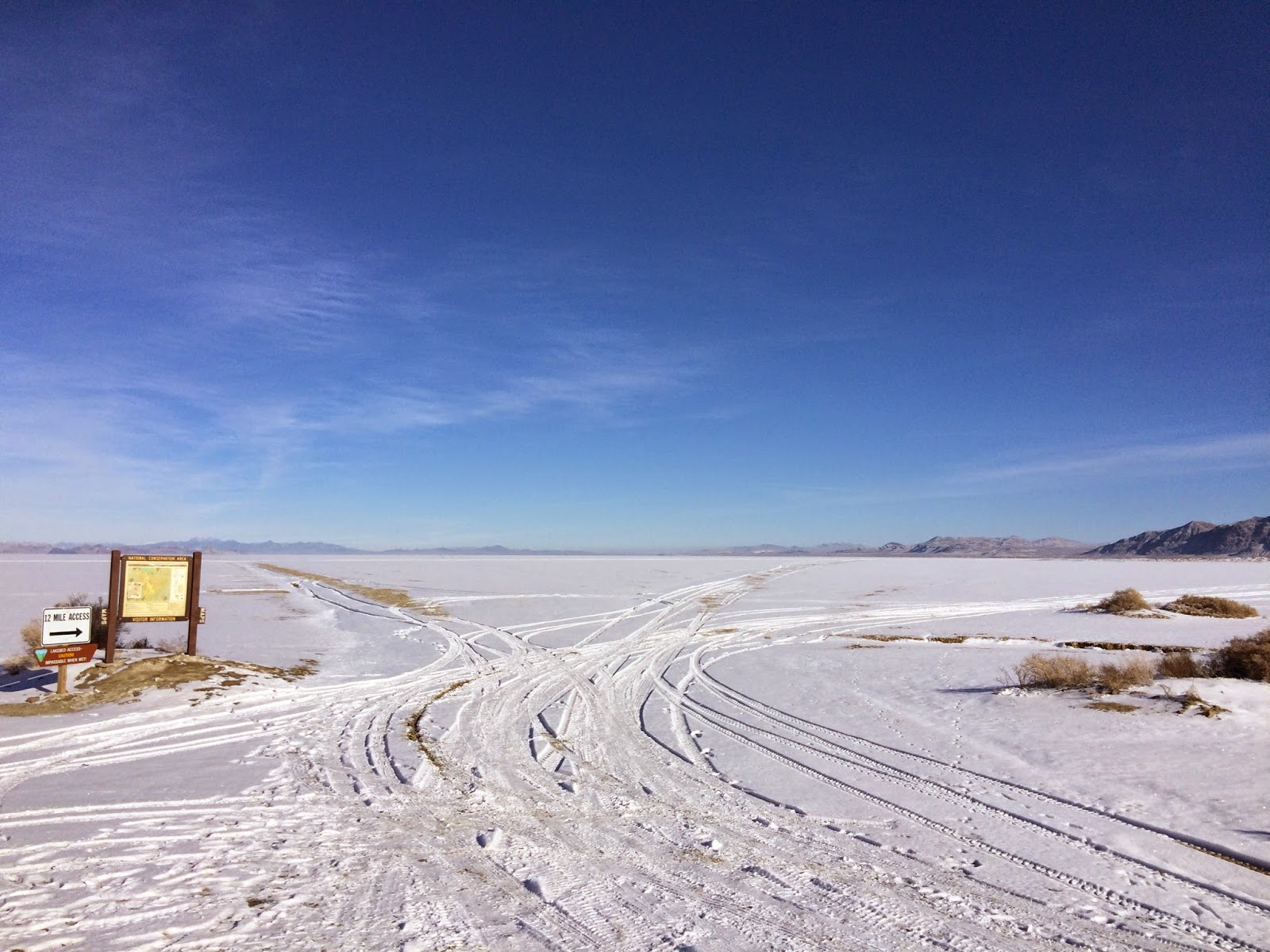 What's Up with Michael Fly Geyser and Gerlach Nevada