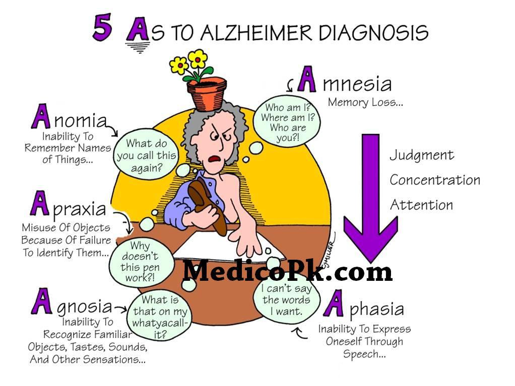 Alzheimer's Disease in India Photo inside the brain Alzheimer