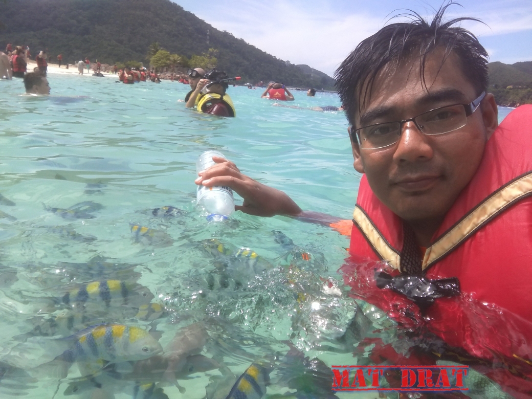 Pulau redang