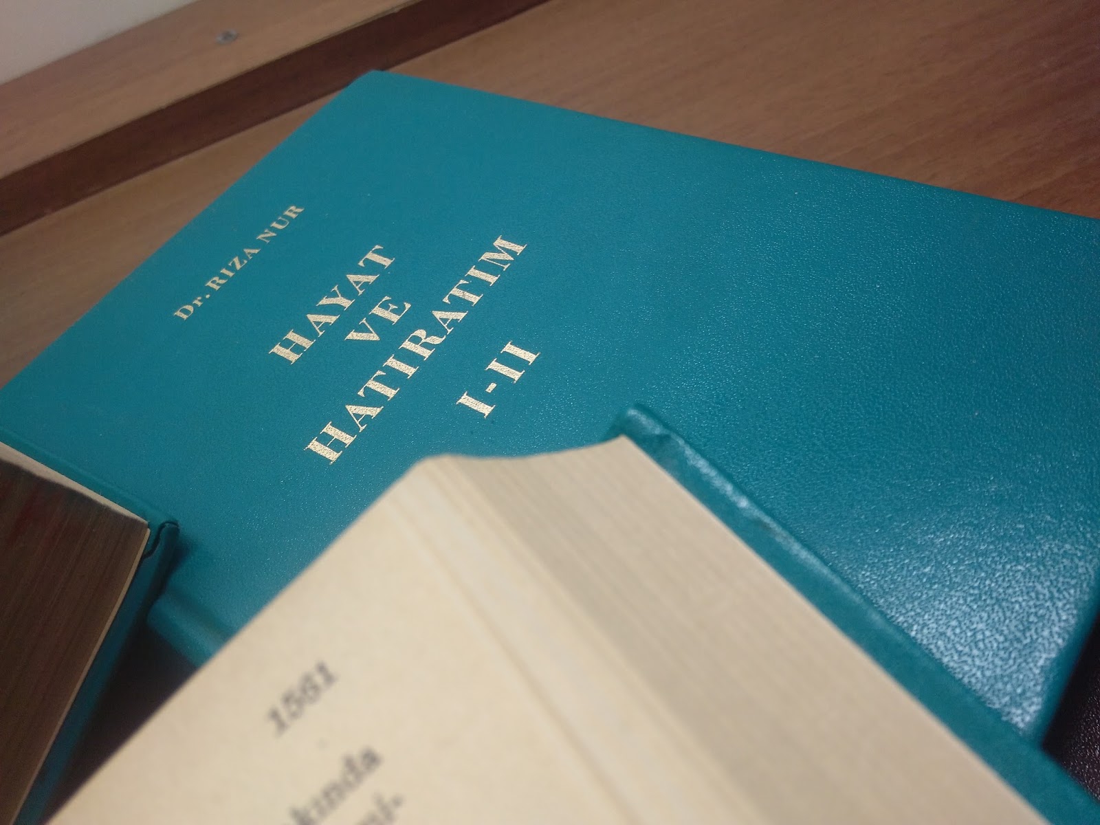 Dr Riza Nur Hayat Ve Hatiratim