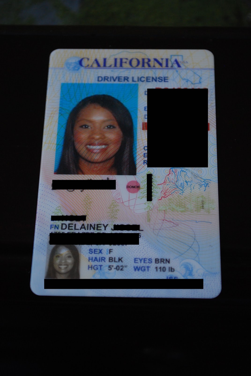 Life As I Know It VERTICAL LICENSE?!