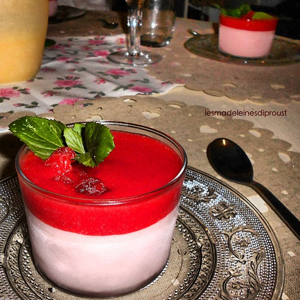 semifreddo di rabarbaro e coulis di fragole e bologna nel we.