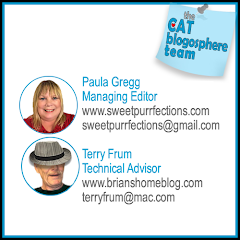 Cat Blogosphere Managing Editor