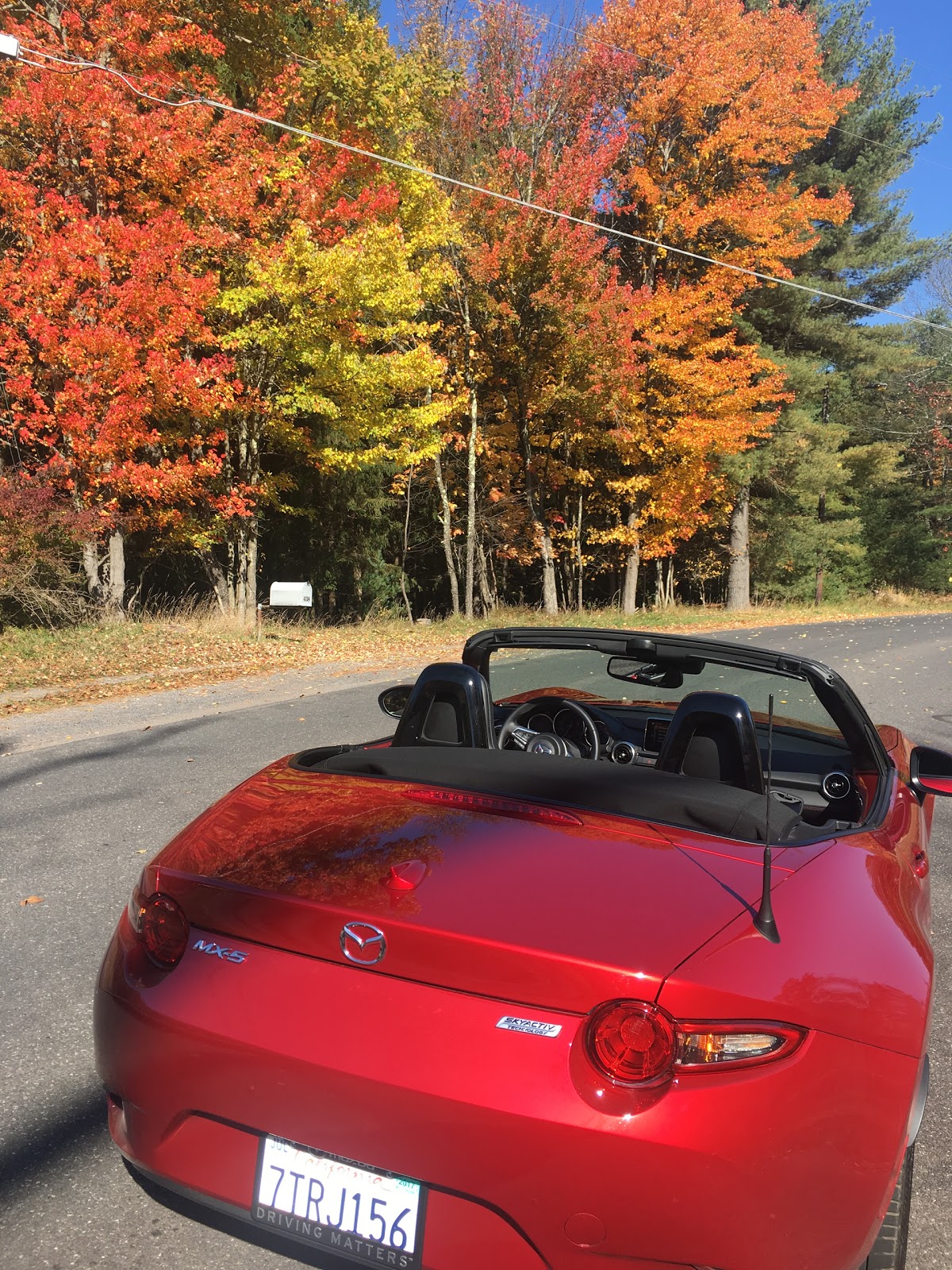 Shocking Car News As the leaves turned in the Catskills, greenery and green cars were hard to find