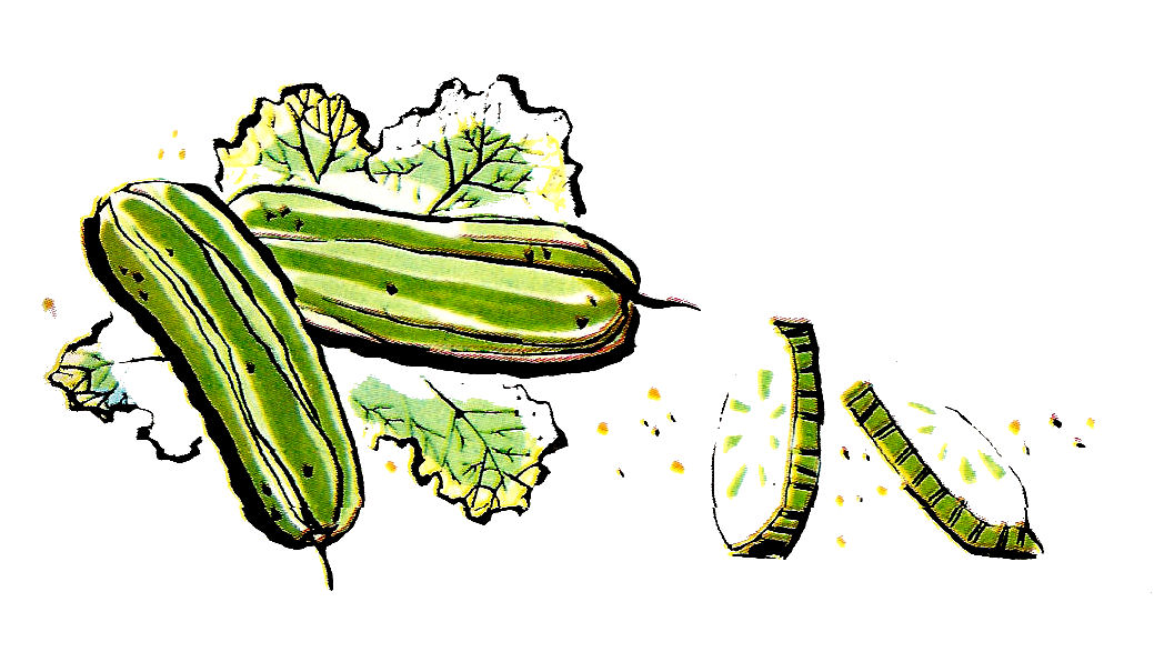 vintage vegetable clip art - photo #24