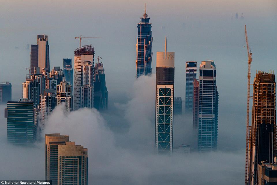 The Global Beauty Fog In Dubai