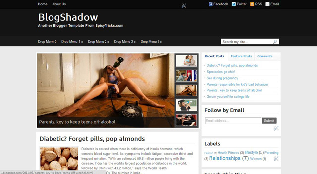 BlogShadow Blogger Template