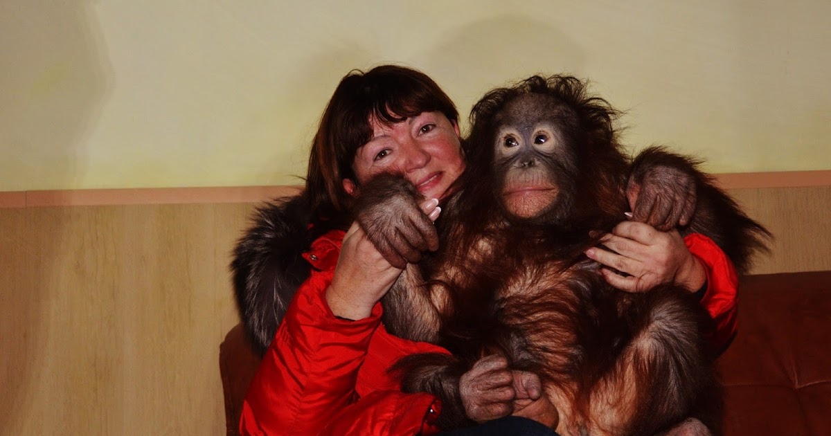 Блог Олега Зубкова: Первый раз в сафари! (+фото)